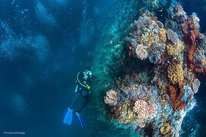 Bali Diving Day Trip-Manta Point/Tulamben Shipwreck-Fun Dive - Getting ready at the Sanur center