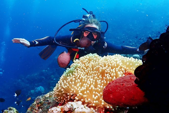 Bali Diving for Beginners: Tulamben Liberty Wreck - A surface break with coffee, tea, and lunch