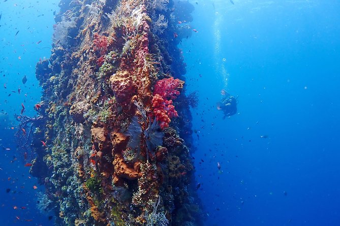 Bali Diving for Beginners: Tulamben Liberty Wreck - Seeing the USAT Liberty from the water