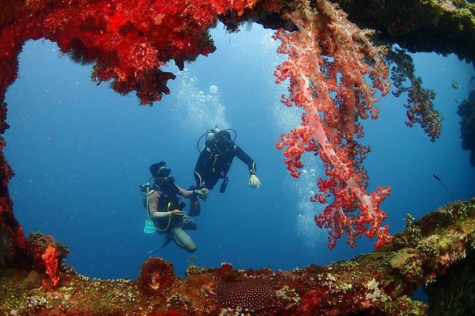 Bali Diving for Beginners: Tulamben Liberty Wreck - What the $89 price really covers