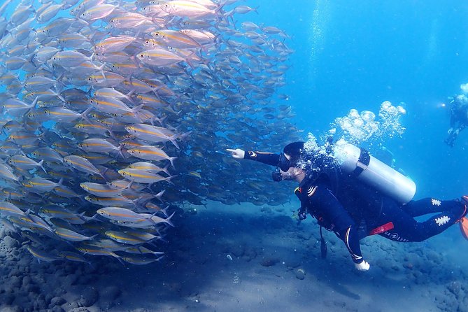 Bali Diving for Beginners: Tulamben Liberty Wreck - Who will enjoy this most