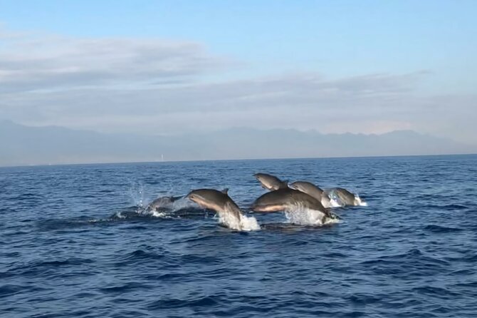 Bali Dolphin Lovina tour and Ulundanu Beratan - Taking the traditional boat from Lovina Beach