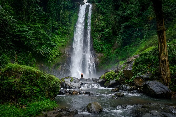 Bali Dolphin Watching Sunrise Tour in Lovina Beach - Lake Tamblingan and Lake Buyan
