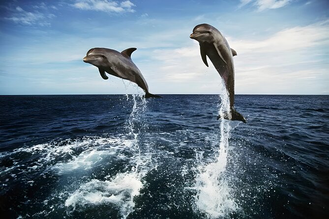 Bali Dolphin Watching Sunrise Tour in Lovina Beach - Lovina Beach and the sunrise boat