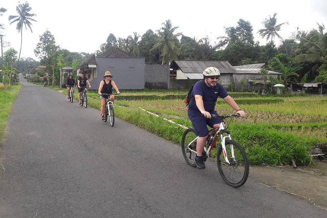 Bali Eco & Educational Cycling Tour - A family day with practical safety features