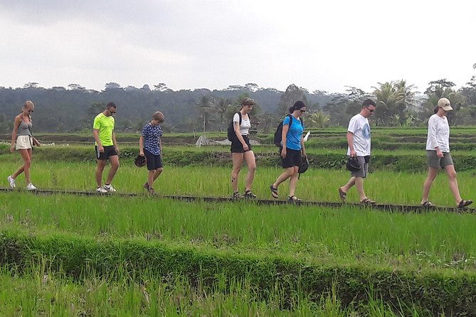 Bali Eco & Educational Cycling Tour - Lunch, snacks, and a useful coffee break