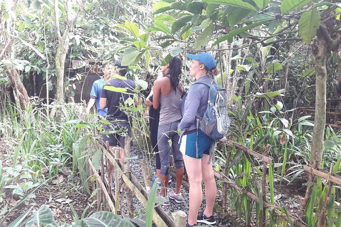 Bali Eco & Educational Cycling Tour - How the $48.87 price works for you