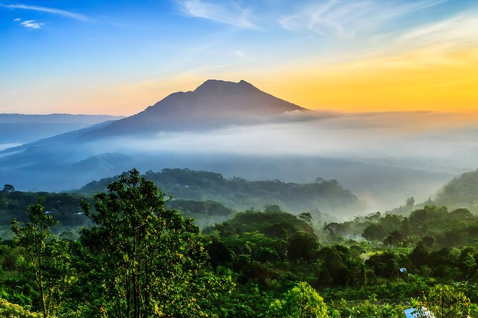 Bali Full-Day Car Charter: Ubud and Kintamani Volcano Tour - Tirta Empul, where holy spring water shapes the visit