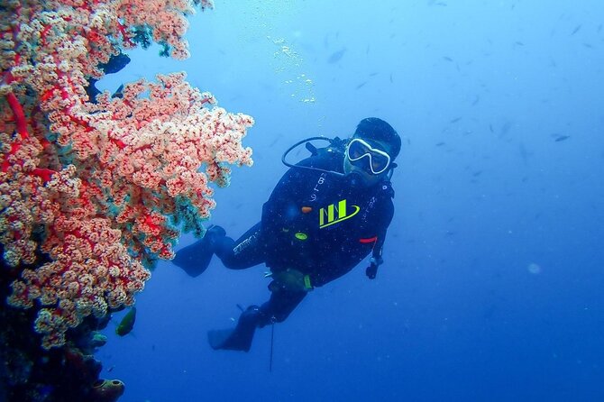 Bali Full Day Experience Scuba Diving Tour at Tulamben - Why Tulamben is the right place for this sea experience