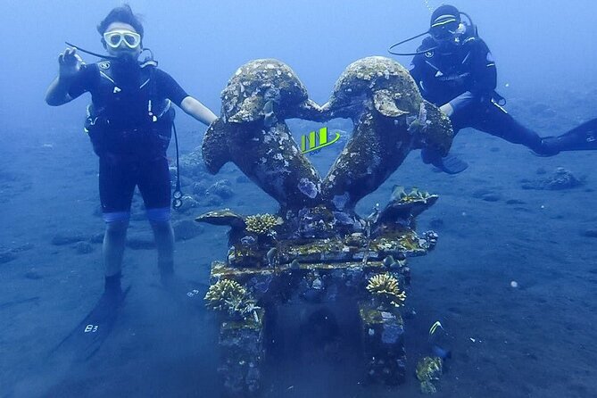 Bali Full Day Experience Scuba Diving Tour at Tulamben - Lunch, facilities, and the pace of a six-hour outing