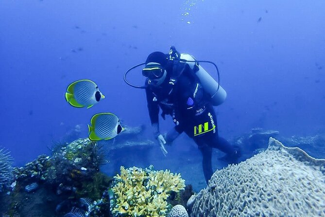 Bali Full Day Experience Scuba Diving Tour at Tulamben - Second session at the USAT Liberty wreck