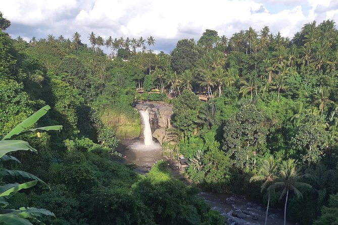 Bali Full Day Holy Water Tour - Tegalalang Rice Terrace and the Optional Swing