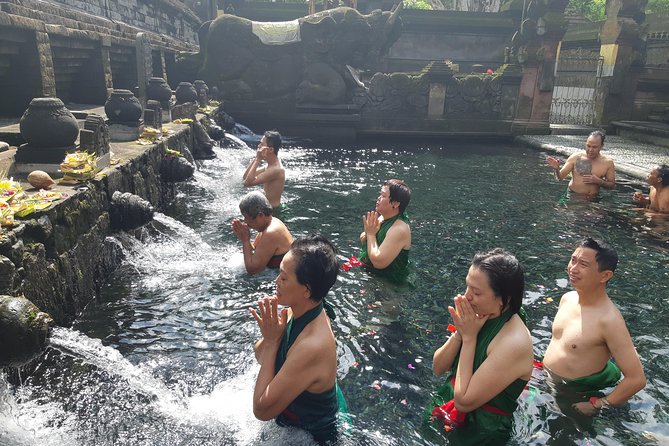 Bali Full Day Holy Water Tour - Tegenungan Waterfall: Choose the View or the Water