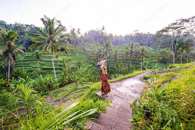 Bali Full-Day Sightseeing Trip with Lunch - Key points at a glance