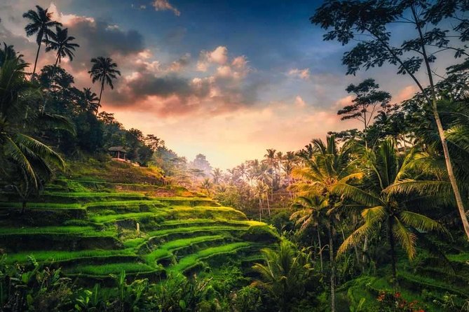 Bali Full-Day Sightseeing Trip with Lunch - What this Bali day tour is really designed to do