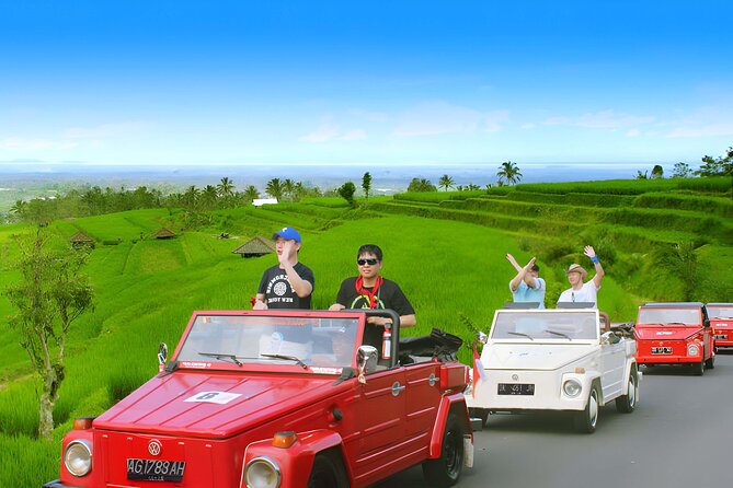 Bali Full-Day The Gate of Heaven Tour by VW Safari Classic Car - Who will enjoy this private Bali day