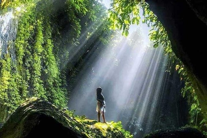 Bali Full Day Tour - East Bali Instagram Tour - Who should book this day tour