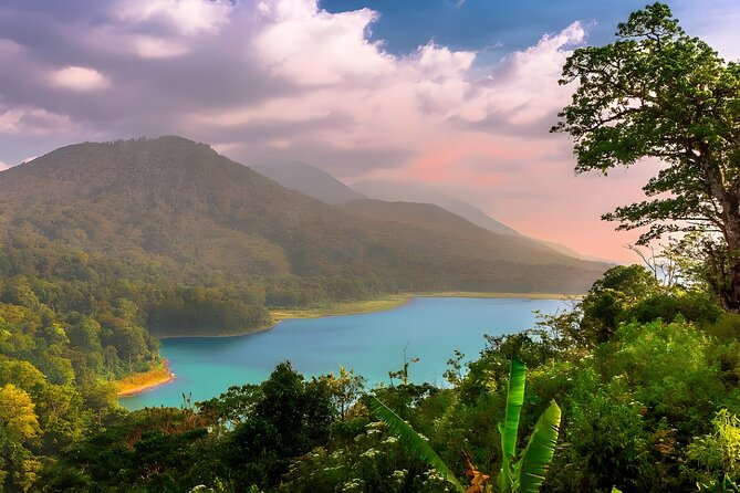 Bali Full-Day Tour: Exploring Instagrammable Place in North Bali - Wanagiri Hidden Hills is built for photographs