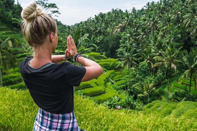 Bali Full Day Tour: Highlights of Ubud and Hidden Waterfall - What This Ubud Day Tour Actually Covers