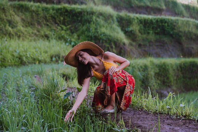 Bali Full Day Tour: Highlights of Ubud and Hidden Waterfall - Sacred Monkey Forest: A Lively Start in Ubud