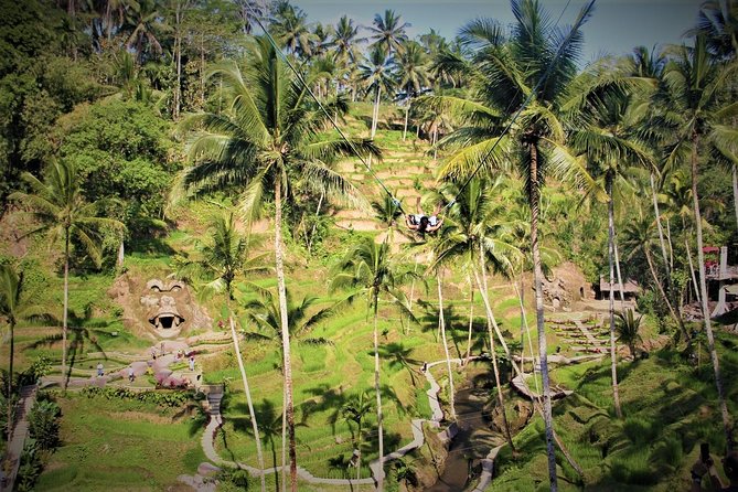 Bali Full Day Tour | Individual Route in Bali | Bali Guide | Free Wi-Fi - What the guides add to the day