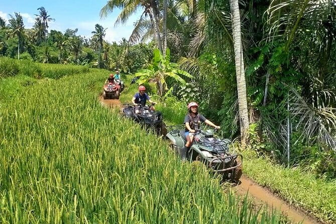 Bali Full-Day Tours : Waterfall and Ubud Destination Trip - Ubud Art Market: A Practical Final Stop