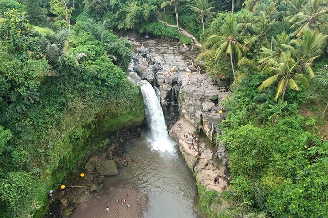 Bali Full-Day Tours : Waterfall and Ubud Destination Trip - Tegalalang Rice Terrace and the View From Above