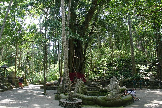 Bali Full-Day Traditional Village Sightseeing Trip All Inclusive - Guides, comfort, and how much control you have