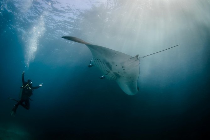 Bali Hai - Reef Cruise - Key things to know before booking