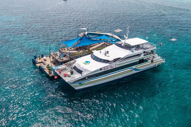 Bali Hai - Reef Cruise - The offshore pontoon is the real center of the day