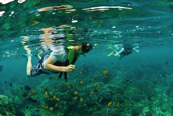 Bali Hai - Reef Cruise - Who will enjoy this cruise most