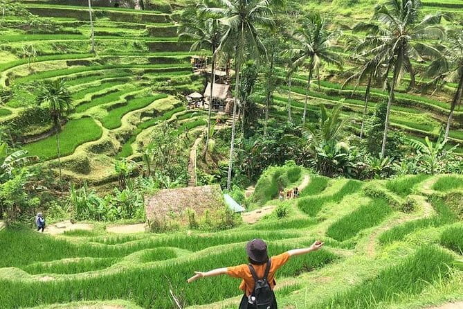 Bali Highlight Private Packages Tours 3 Days - A broad first look at Bali in three days