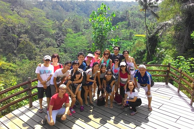 Bali Hindu temple, Rice terrace, Waterfall -All Inclusive - Celuk, batik, and Bali’s working art traditions