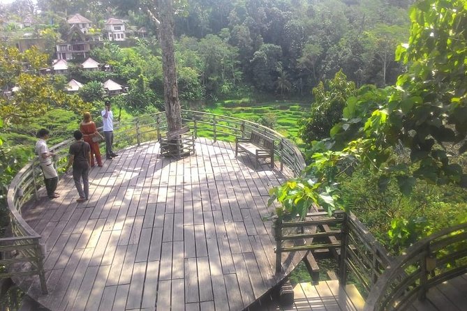 Bali Hindu temple, Rice terrace, Waterfall -All Inclusive - What the $60 price really covers