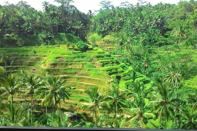 Bali Hindu temple, Rice terrace, Waterfall -All Inclusive - Timing, pickup, and the port advantage