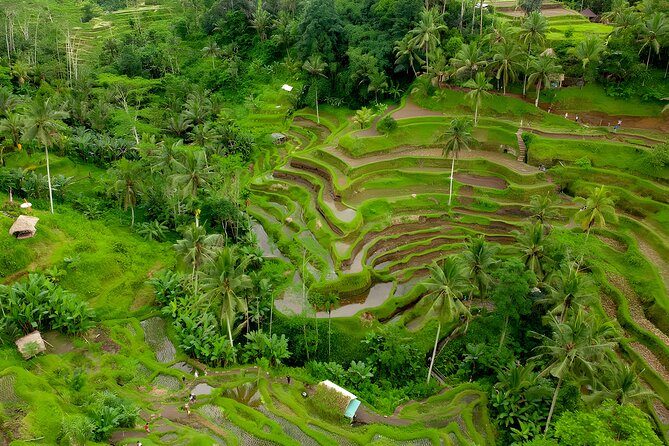 Bali Horse Riding Activity and Full-Day Trip in Ubud - Saba Beach: a gentle start on horseback