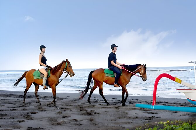 Bali Horse Riding and ATV Ride Packages : Best Quad Bike Trip - One day, two very different sides of Bali