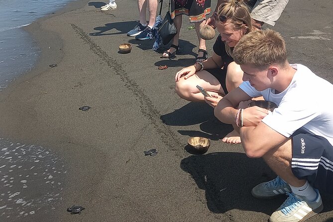 Bali Horse Riding and Turtle Release at Saba Beach - Practical details that affect the day