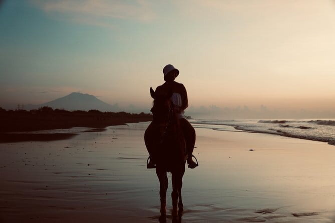 Bali Horse Riding Sanur Beach include Transport - From Muara Adventure into the Sanur countryside