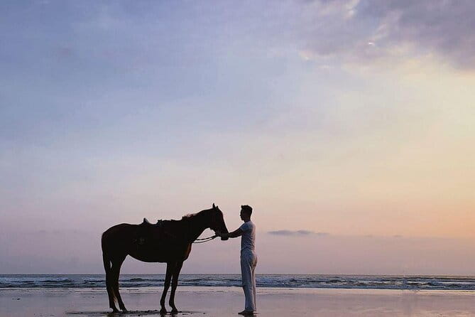 Bali Horse Riding Sanur Beach include Transport - Horses, riding support, and safety
