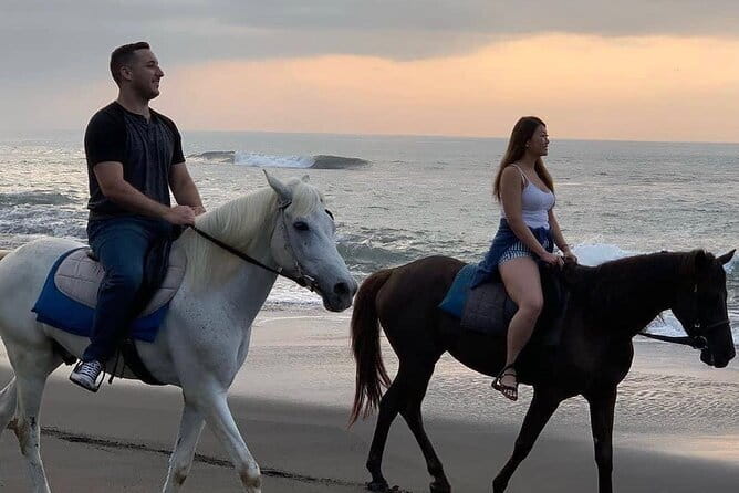 Bali Horse Riding Seminyak Beach Experience Private Transport - Key things to know before booking