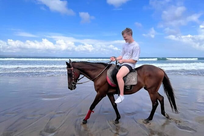 Bali Horse Riding Seminyak Beach Experience Private Transport - Horses, helmets, and the 85 kilogram limit
