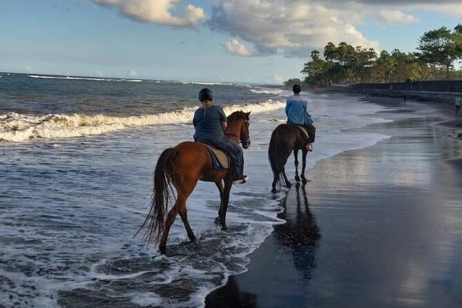 Bali Horse Riding Trot & Canter Saba Beach with Local Temple - What the beach ride is really like