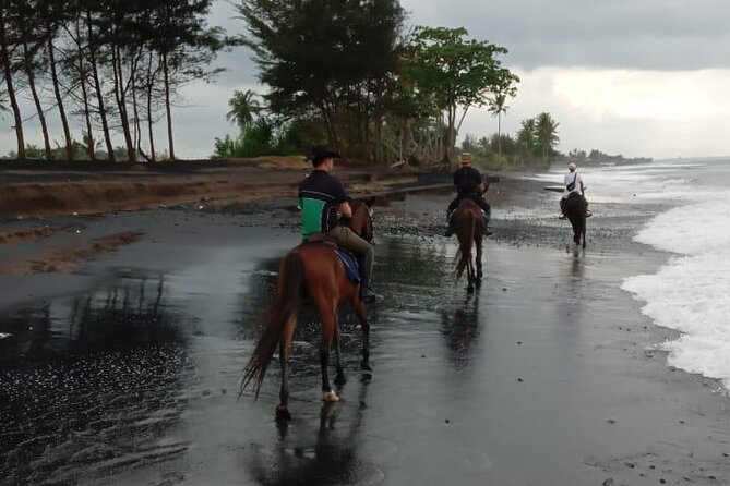 Bali Horse Riding Trot & Canter Saba Beach with Local Temple - Timing, weather, and cancellation details
