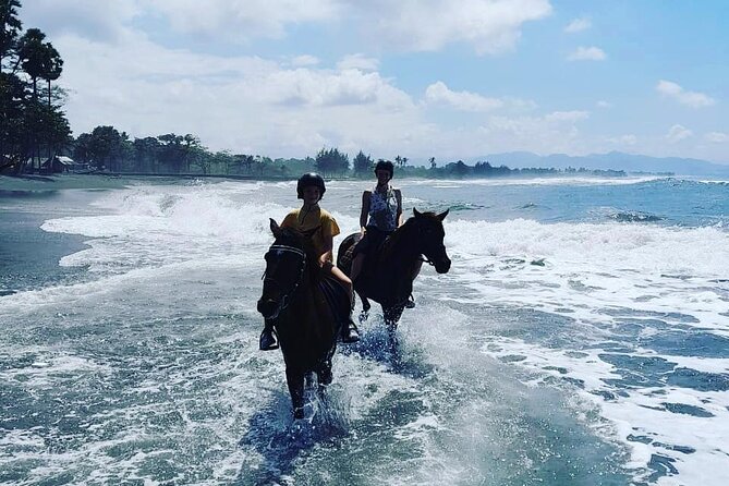 Bali Horse Riding Trot & Canter Saba Beach with Local Temple - Getting comfortable before the ride