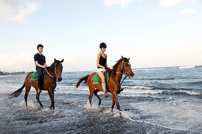 Bali Horse Riding, Waterfall, Rice Terrace, Lunch - All Inclusive - The morning begins at Saba Bay Stables