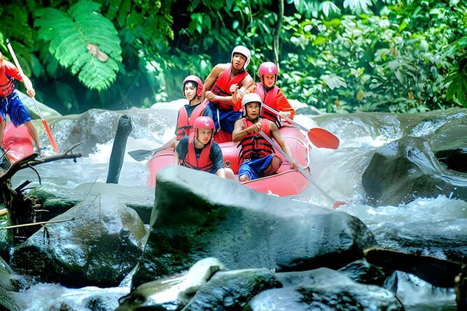 Bali Horse Riding, Waterfall, Rice Terrace, Lunch - All Inclusive - Uma Pakel offers a look at tropical crops