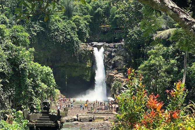 Bali Iconic Tour with Buffet Lunch and Attraction Tickets - Ubud Monkey Forest puts you near macaques