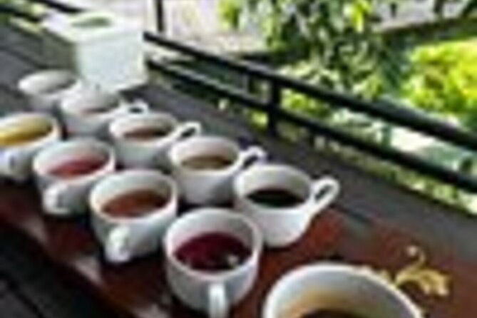 Bali in 1-Day : Rice Terrace, Volcano, Tanah lot - All Inclusive - Choose a craft village that fits your interests