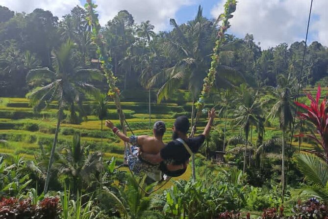 Bali in 1-Day : Rice Terrace, Volcano, Tanah lot - All Inclusive - Tegalalang Rice Terrace is the visual centerpiece